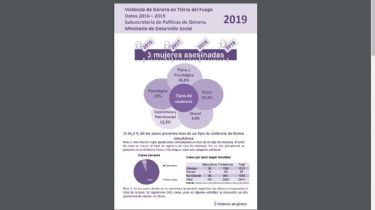 El 46,4 % de los casos registrados en TDF sufren más de un tipo de violencia de género