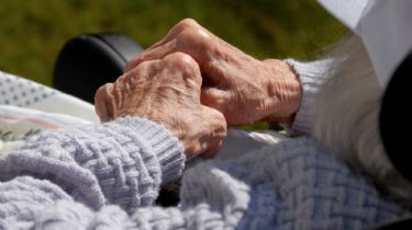 Consumir mate podría prevenir el Parkinson según Conicet