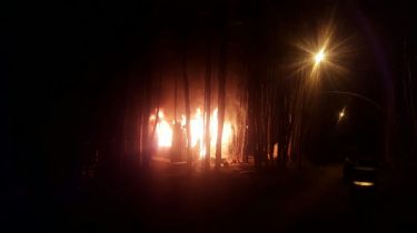 Incendio en el barrio Dos Banderas con pérdidas casi totales