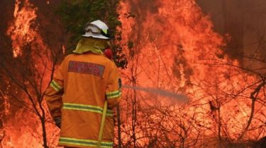 Australia: incendios dejaron 23 muertos y más de 1500 casas quemadas