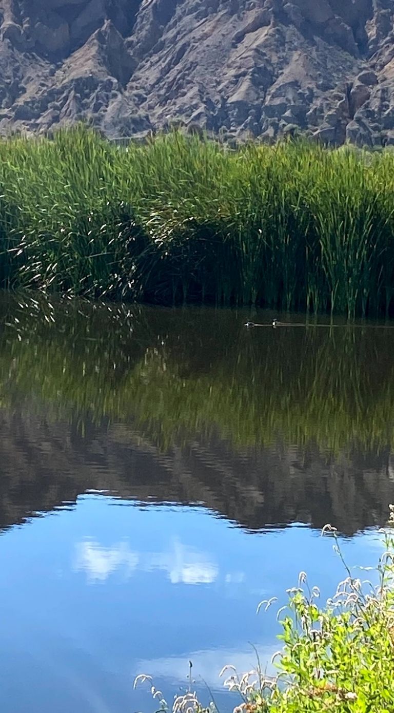 Parque Presidente Sarmiento en San Juan