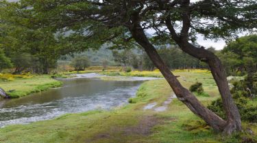 Ushuaia: invitan a la gente a conocer el "Sitio Ramsar"
