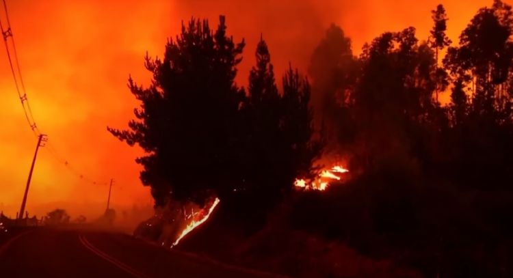 Decretan toque de queda en el sur de Chile: al menos 30 muertos
